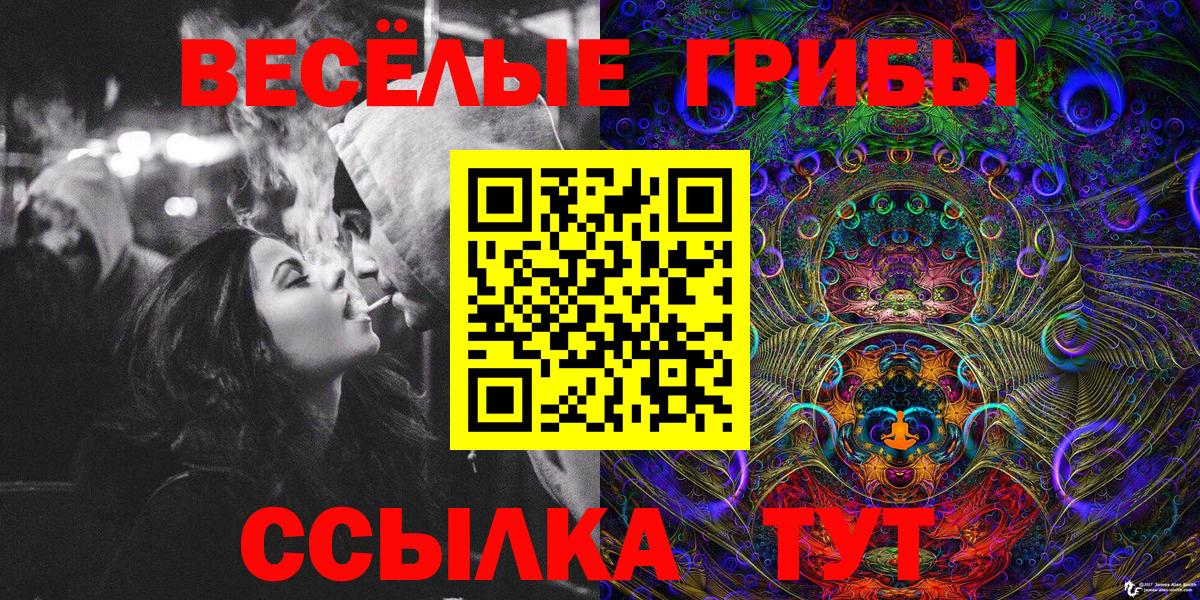 Псилоцибиновые грибы MAGIC MUSHROOMS Михайловка