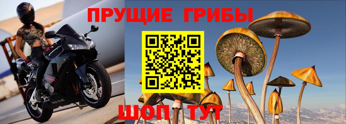 КОКАИН Михайловка